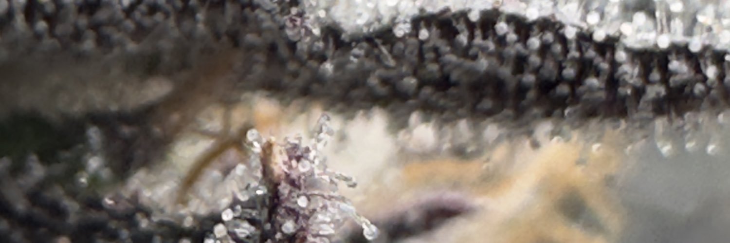 XLROLLER's profile banner image