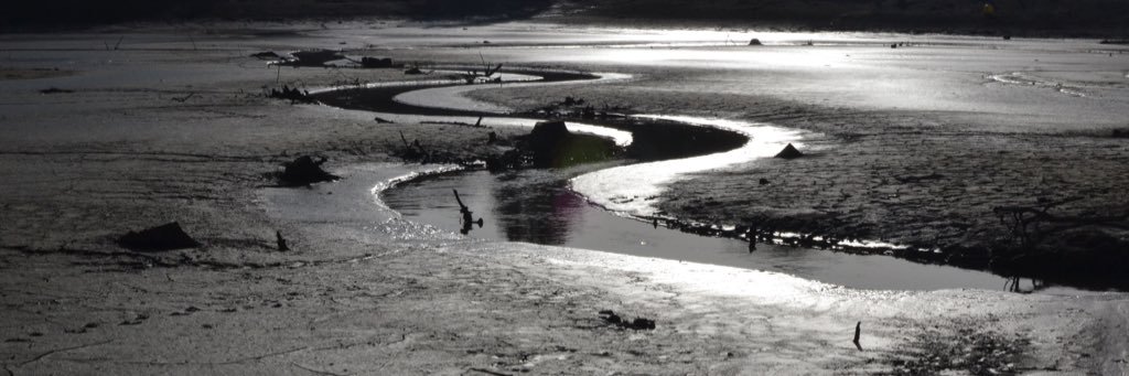 NathScarcella's profile banner image