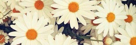 CarlaWinifer's profile banner image