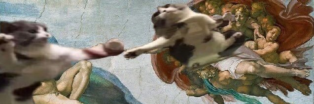 mervelimon's profile banner image