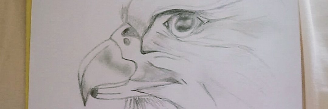 mbt13_'s profile banner image