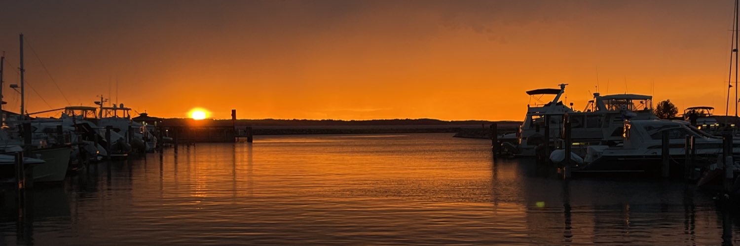 aliquilitzsch's profile banner image