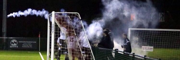 George Bingham banner