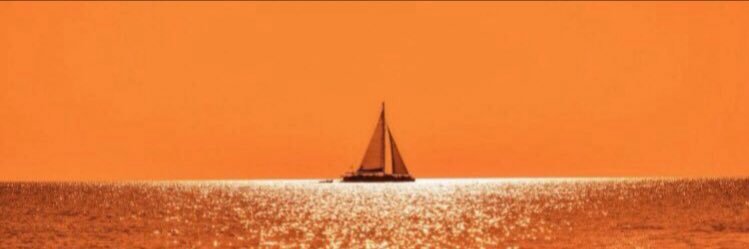 Annie DELWENNA©️'s banner
