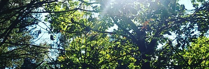 MaaritHon's profile banner image