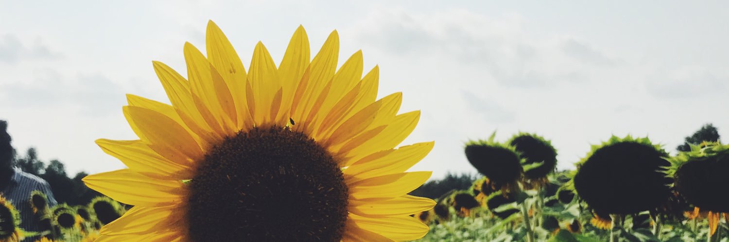 allylunetta's profile banner image