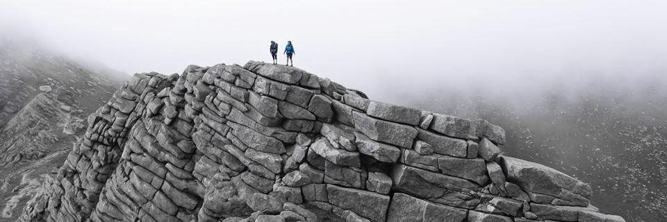 LizEarley's profile banner image