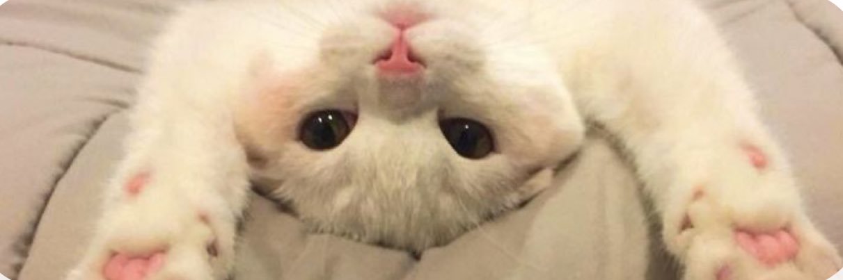 ipaulaflowers's profile banner image