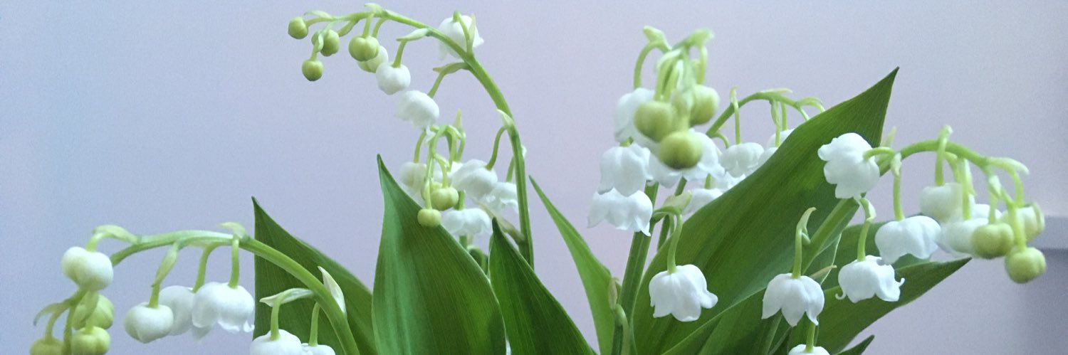 Valerie Blanchet banner