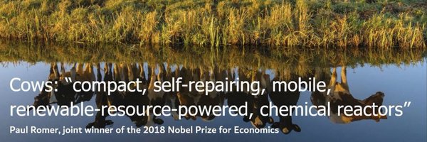 djagric Profile Banner