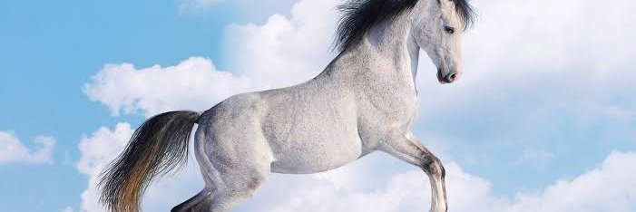 annah_bn's profile banner image