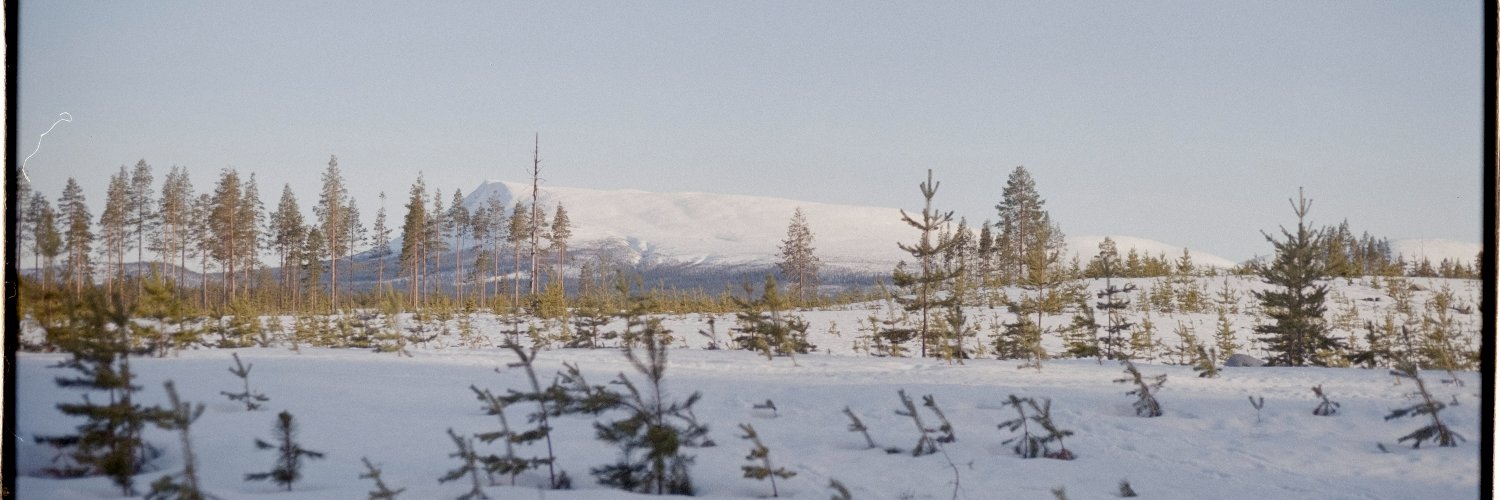 Carola Chicco banner