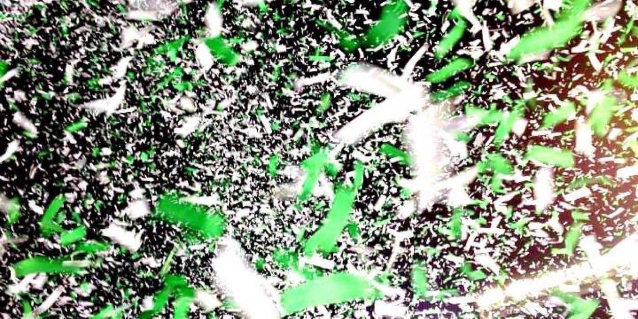 CourtneySenko's profile banner image
