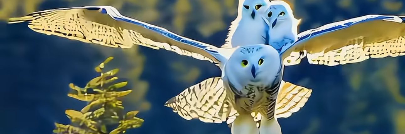 CariolaAriola's profile banner image