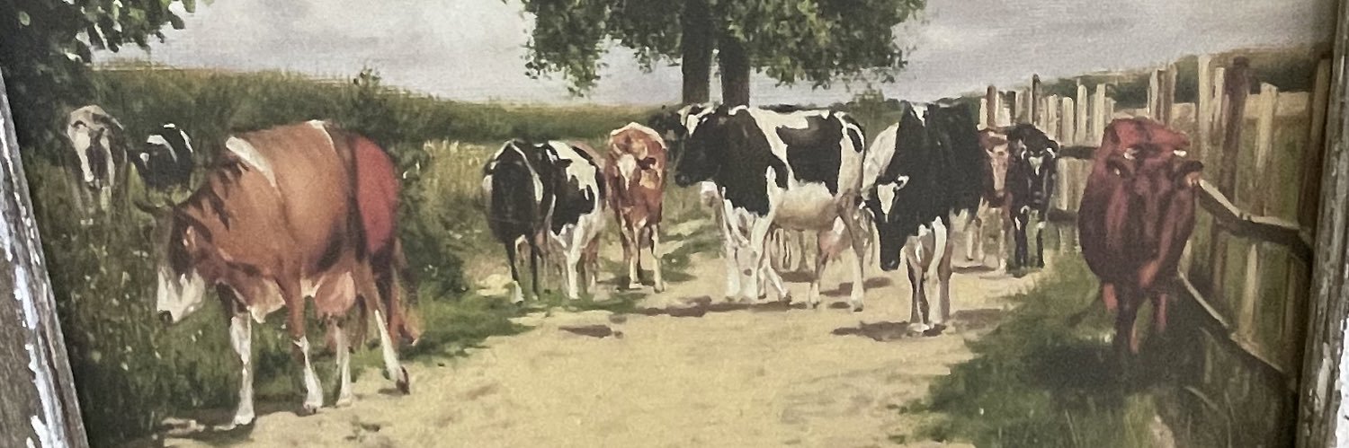 BlakeTuohy's profile banner image