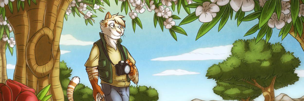QdkPhotography1's profile banner image
