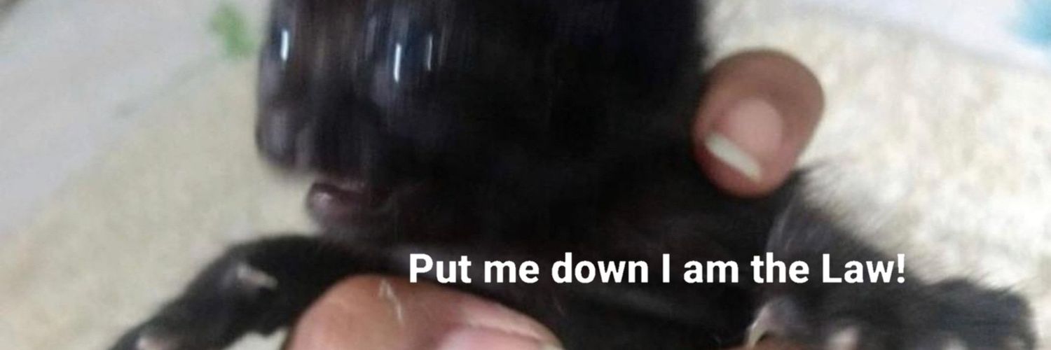 spacebiscvit's profile banner image