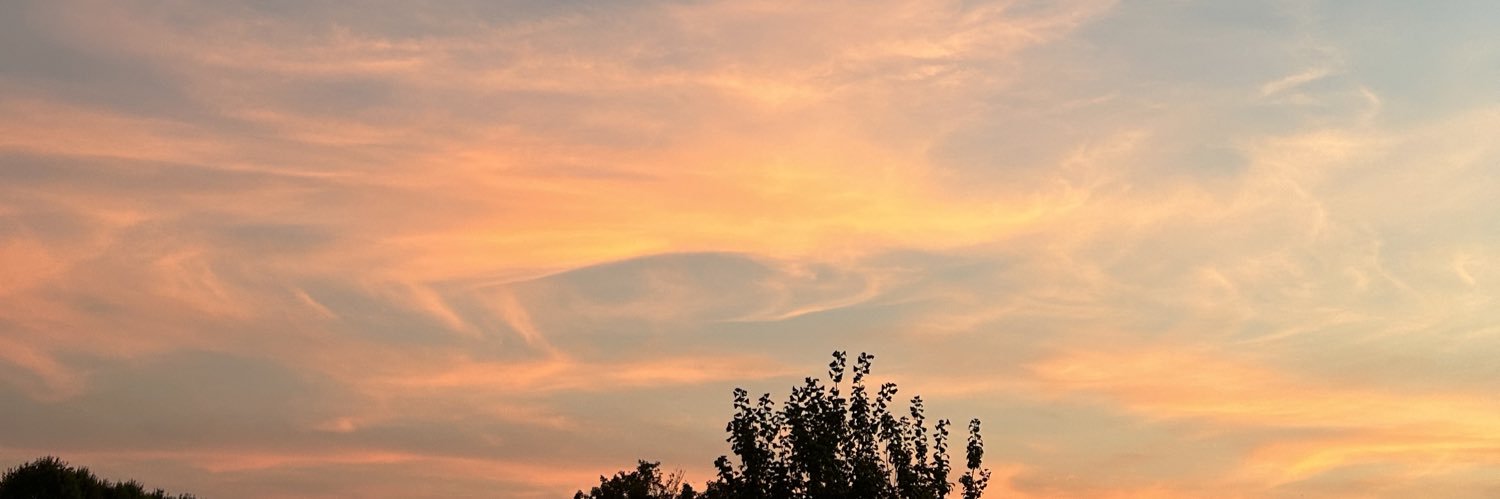 HanLeahy's profile banner image