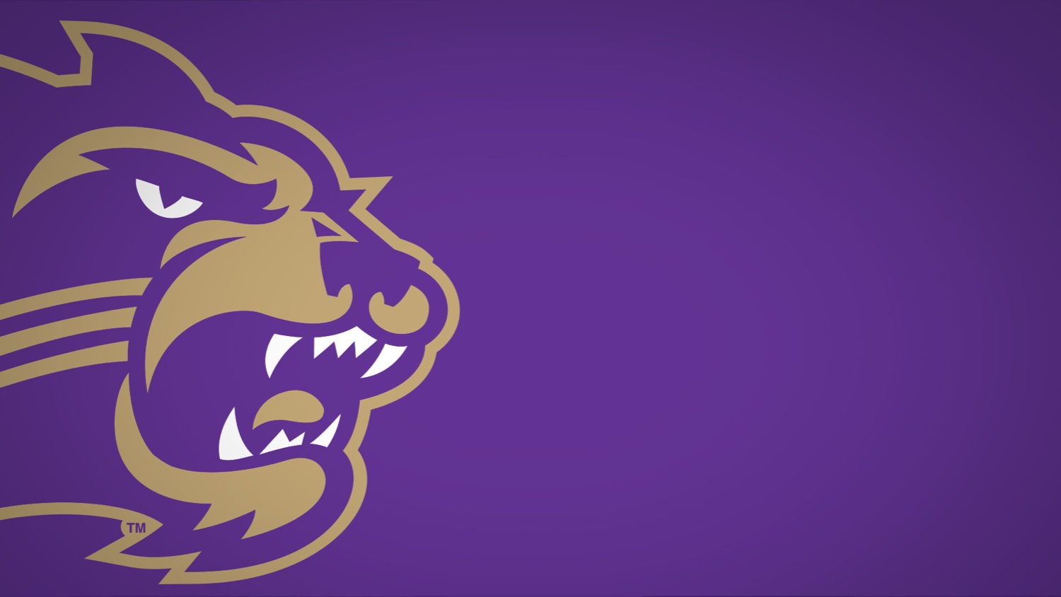 dorkybones's profile banner image