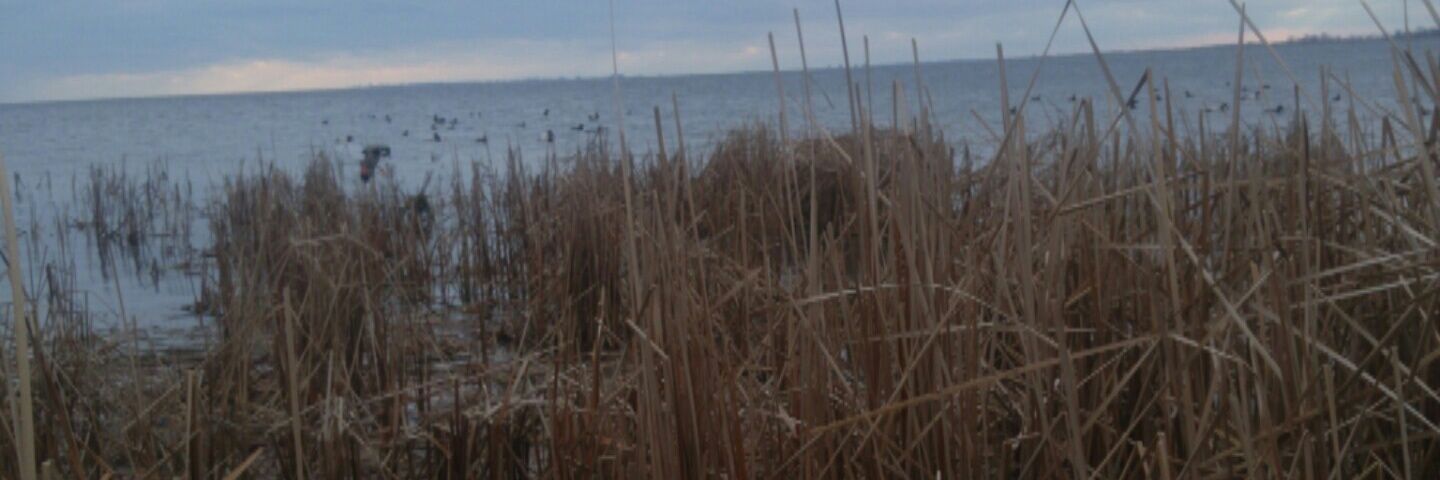 MattDox's profile banner image