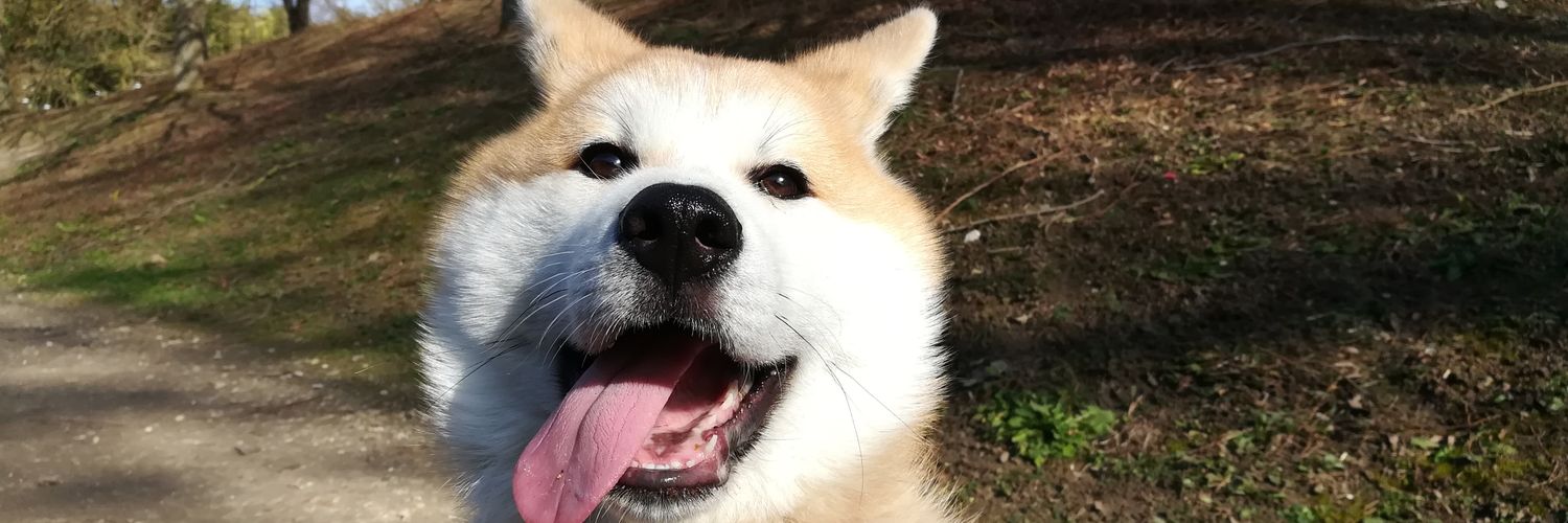inu418's profile banner image