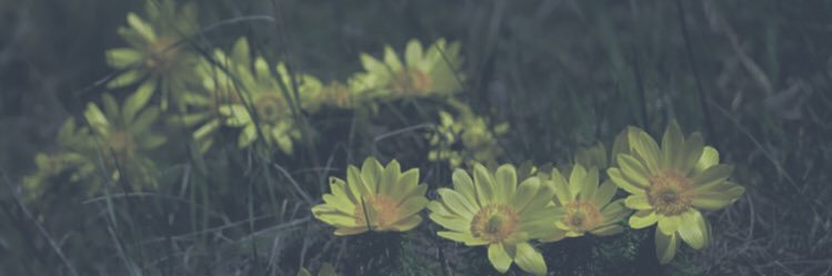 ADONVPR's profile banner image