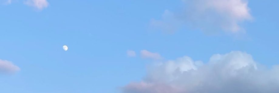 ray5king's profile banner image