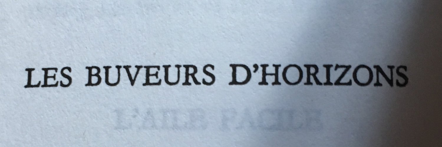 Pierre Bénichou banner