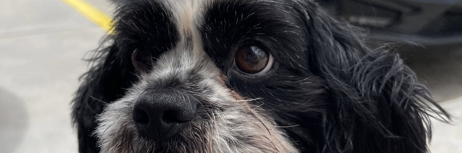 manders5_'s profile banner image