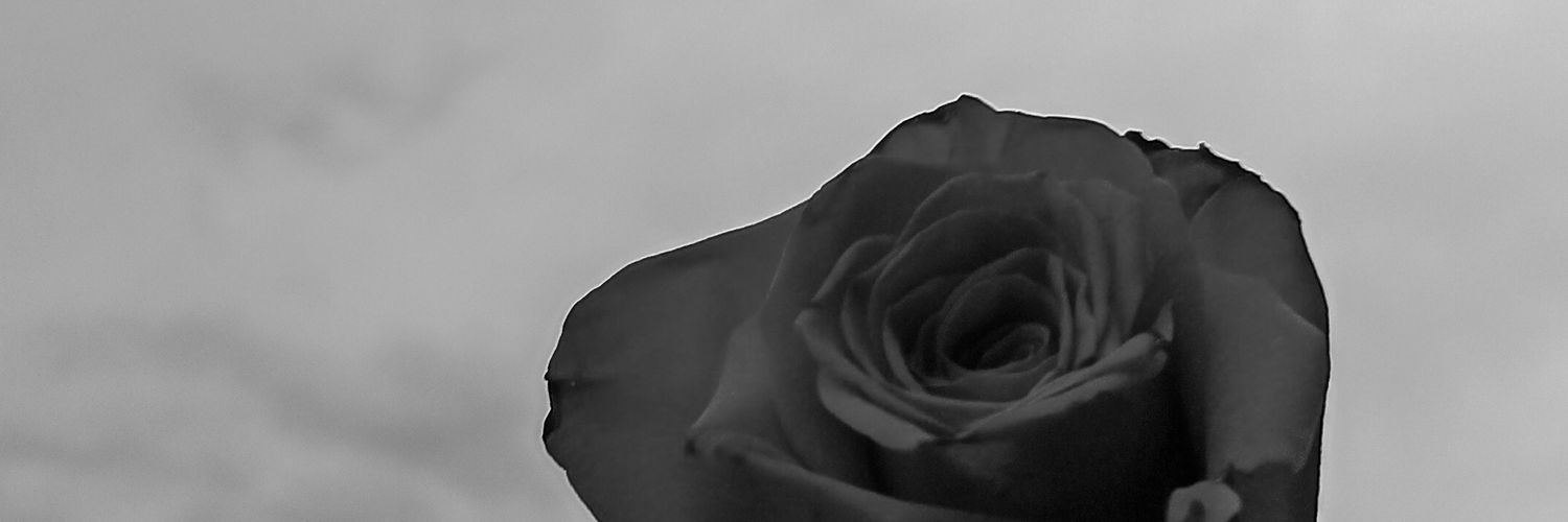 LjAlfredo's profile banner image