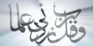 alshawli's profile banner image