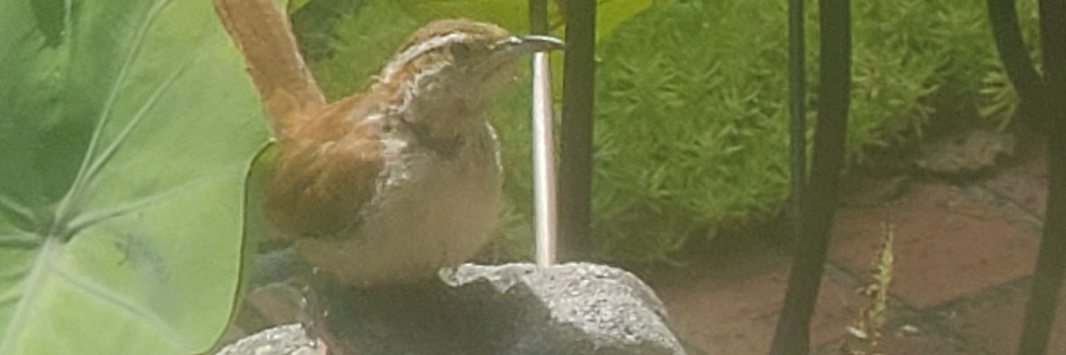 I block Elmos ads 🇺🇦 banner