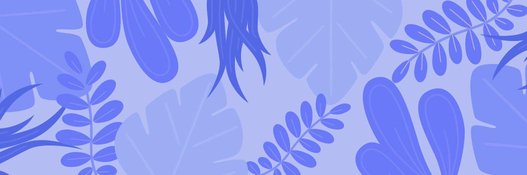 FondrieschiB's profile banner image