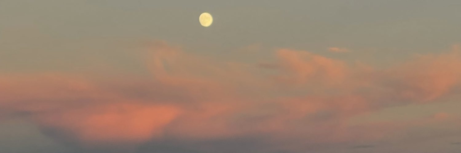 ittstoniii's profile banner image