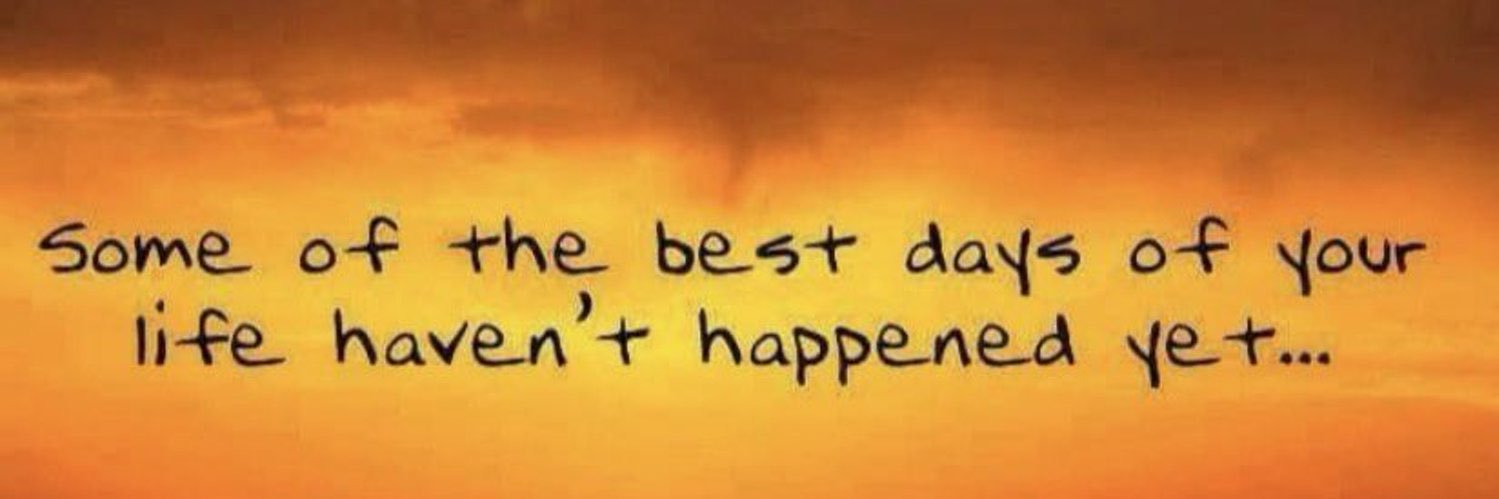 Lisa 🐾✨🐾 banner