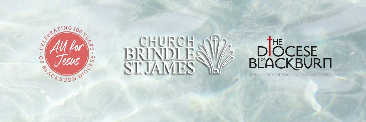 BrindleStJames's profile banner image