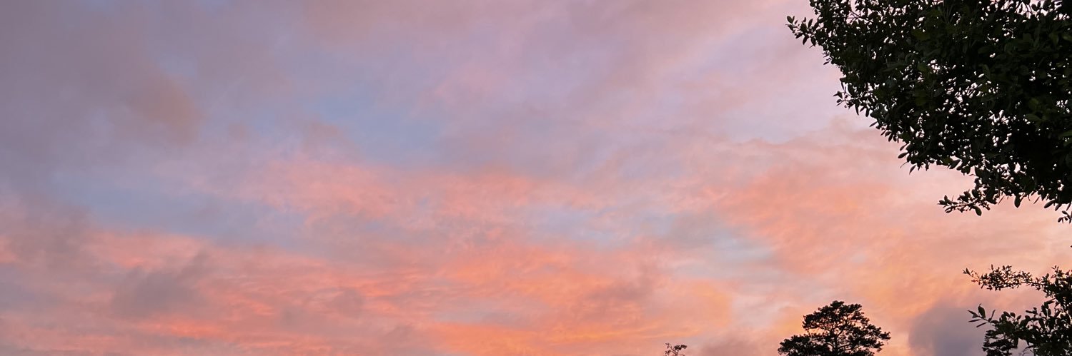 michoacawno's profile banner image