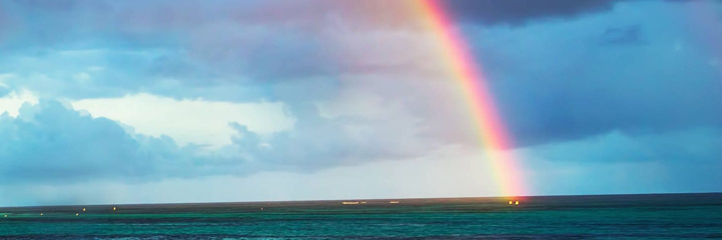 gozderecel's profile banner image