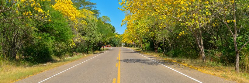 Estrategia de Desarrollo Económico de Valledupar banner