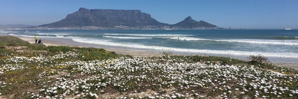 Jessica Stander, PhD banner