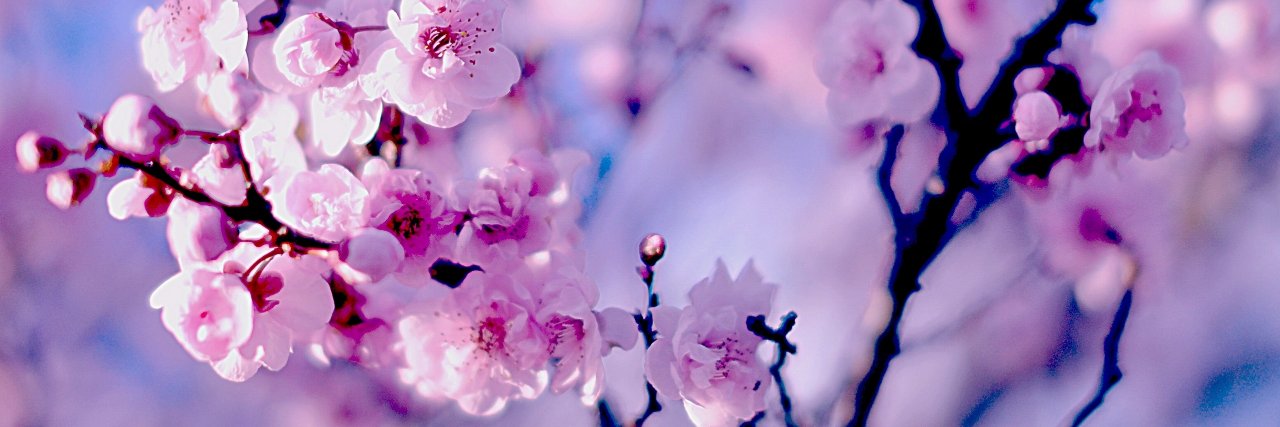 sugascuteboy's profile banner image