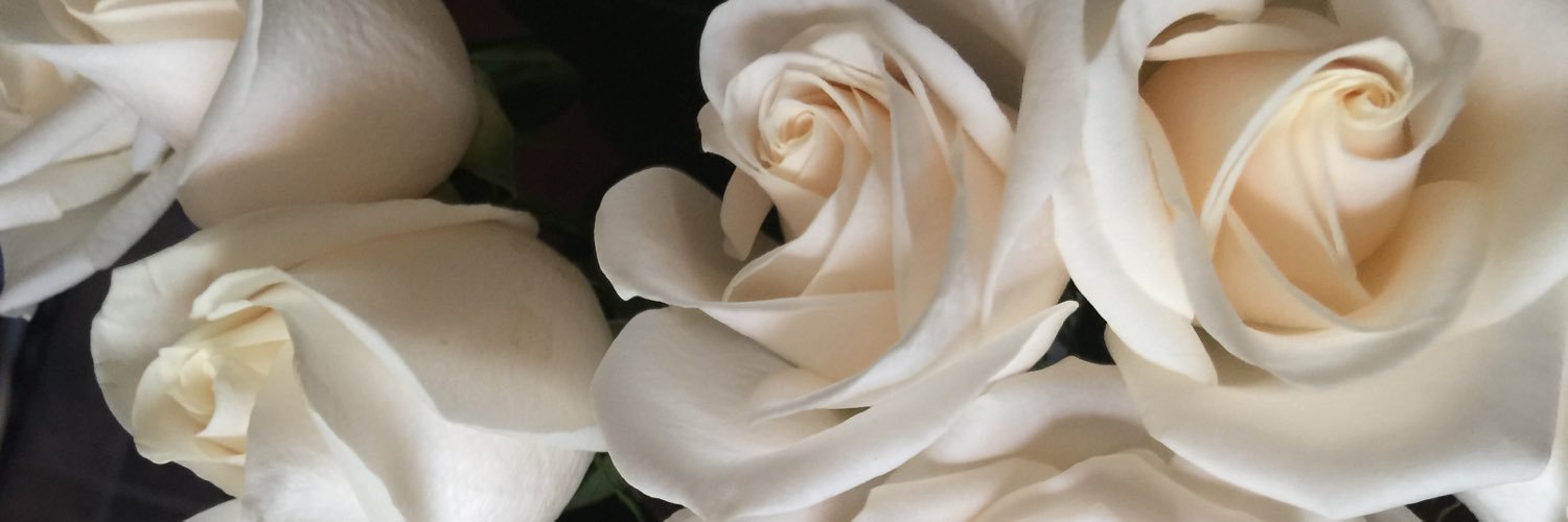 SeanSetha's profile banner image