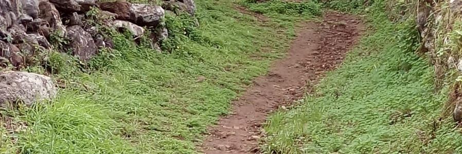 estherrgc's profile banner image
