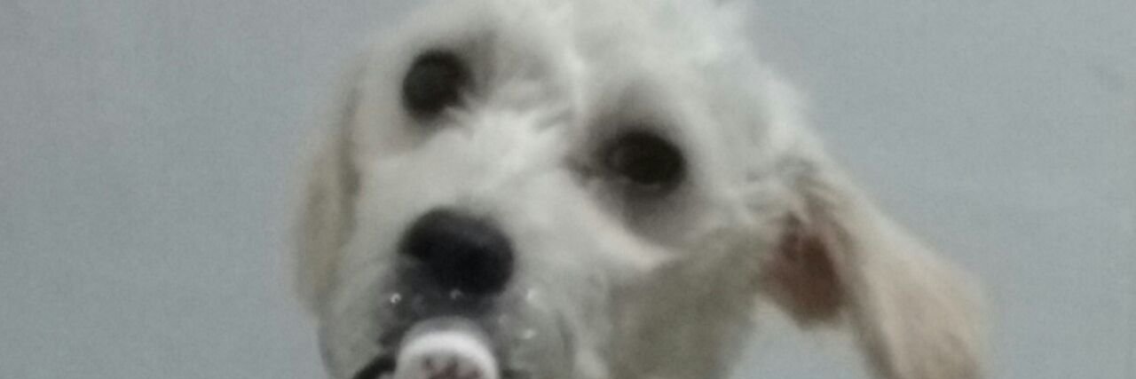 JuLops's profile banner image