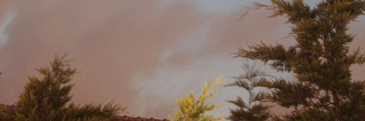 cicothecat's profile banner image