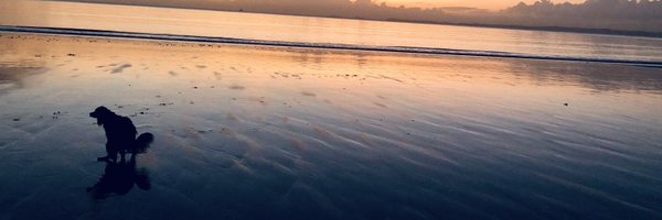 blackcomocarbon Profile Banner