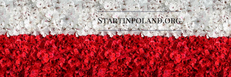startinpoland's profile banner image