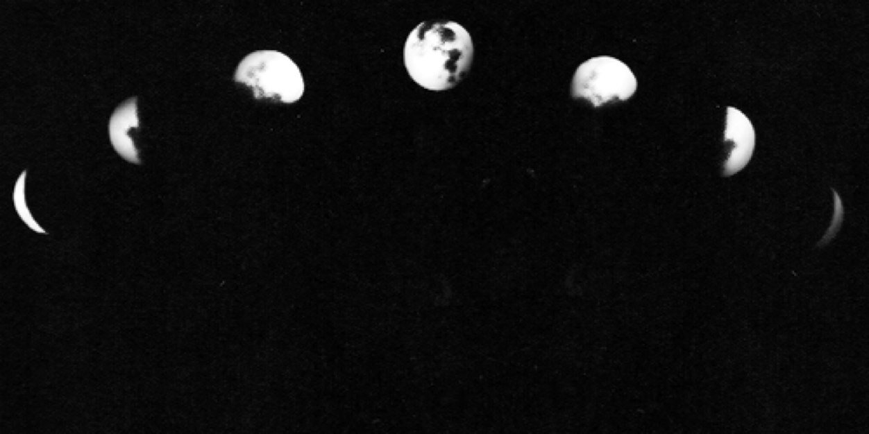pawsupmars's profile banner image