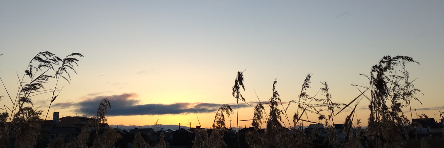 nariron_'s profile banner image