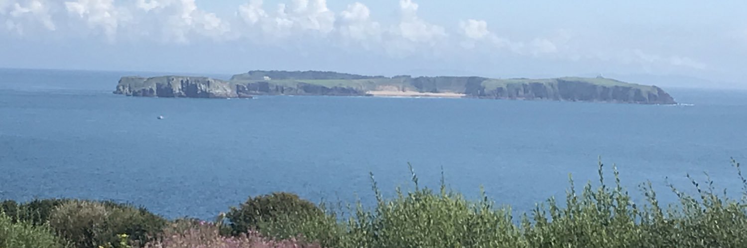David Evans banner